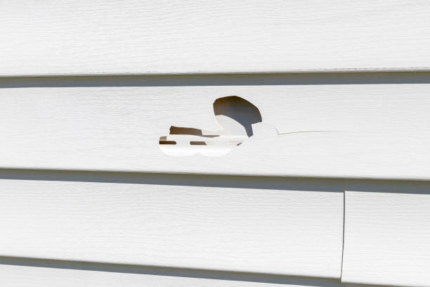 Best Siding Removal and Disposal  in Ridgemark, CA